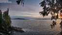 ./images/koeye/fitz-hugh/20260602/fitz-hugh20260602_214501M.jpg