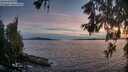 ./images/koeye/fitz-hugh/20260602/fitz-hugh20260602_215001M.jpg
