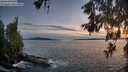 ./images/koeye/fitz-hugh/20260602/fitz-hugh20260602_215501M.jpg
