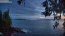 ./images/koeye/fitz-hugh/20260602/fitz-hugh20260602_222501M.jpg