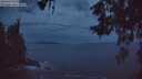 ./images/koeye/fitz-hugh/20260603/fitz-hugh20260603_042502M.jpg