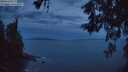 ./images/koeye/fitz-hugh/20260603/fitz-hugh20260603_043501M.jpg