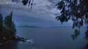 ./images/koeye/fitz-hugh/20260603/fitz-hugh20260603_044502M.jpg