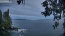 ./images/koeye/fitz-hugh/20260603/fitz-hugh20260603_050501M.jpg