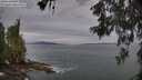 ./images/koeye/fitz-hugh/20260603/fitz-hugh20260603_061001M.jpg