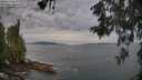 ./images/koeye/fitz-hugh/20260603/fitz-hugh20260603_063501M.jpg
