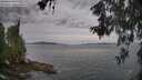 ./images/koeye/fitz-hugh/20260603/fitz-hugh20260603_065001M.jpg