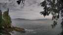 ./images/koeye/fitz-hugh/20260603/fitz-hugh20260603_070001M.jpg