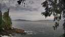 ./images/koeye/fitz-hugh/20260603/fitz-hugh20260603_070501M.jpg