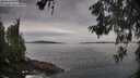 ./images/koeye/fitz-hugh/20260603/fitz-hugh20260603_075501M.jpg