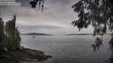 ./images/koeye/fitz-hugh/20260603/fitz-hugh20260603_080001M.jpg