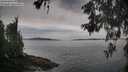 ./images/koeye/fitz-hugh/20260603/fitz-hugh20260603_080502M.jpg