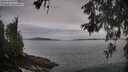 ./images/koeye/fitz-hugh/20260603/fitz-hugh20260603_081001M.jpg