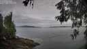 ./images/koeye/fitz-hugh/20260603/fitz-hugh20260603_081501M.jpg