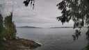 ./images/koeye/fitz-hugh/20260603/fitz-hugh20260603_082002M.jpg