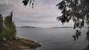 ./images/koeye/fitz-hugh/20260603/fitz-hugh20260603_083002M.jpg