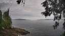 ./images/koeye/fitz-hugh/20260603/fitz-hugh20260603_084001M.jpg