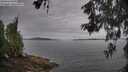 ./images/koeye/fitz-hugh/20260603/fitz-hugh20260603_085002M.jpg
