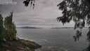 ./images/koeye/fitz-hugh/20260603/fitz-hugh20260603_091001M.jpg