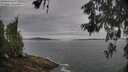 ./images/koeye/fitz-hugh/20260603/fitz-hugh20260603_093001M.jpg