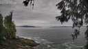 ./images/koeye/fitz-hugh/20260603/fitz-hugh20260603_095002M.jpg