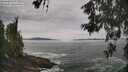 ./images/koeye/fitz-hugh/20260603/fitz-hugh20260603_100501M.jpg
