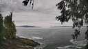 ./images/koeye/fitz-hugh/20260603/fitz-hugh20260603_101001M.jpg