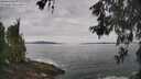 ./images/koeye/fitz-hugh/20260603/fitz-hugh20260603_101501M.jpg