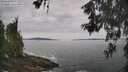 ./images/koeye/fitz-hugh/20260603/fitz-hugh20260603_102001M.jpg