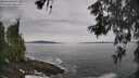 ./images/koeye/fitz-hugh/20260603/fitz-hugh20260603_103001M.jpg