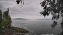 ./images/koeye/fitz-hugh/20260603/fitz-hugh20260603_103501M.jpg