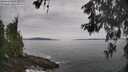 ./images/koeye/fitz-hugh/20260603/fitz-hugh20260603_104001M.jpg