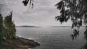 ./images/koeye/fitz-hugh/20260603/fitz-hugh20260603_104501M.jpg