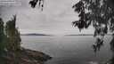 ./images/koeye/fitz-hugh/20260603/fitz-hugh20260603_105002M.jpg