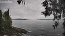 ./images/koeye/fitz-hugh/20260603/fitz-hugh20260603_105502M.jpg
