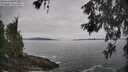 ./images/koeye/fitz-hugh/20260603/fitz-hugh20260603_110001M.jpg