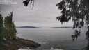 ./images/koeye/fitz-hugh/20260603/fitz-hugh20260603_110501M.jpg