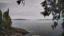 ./images/koeye/fitz-hugh/20260603/fitz-hugh20260603_111502M.jpg