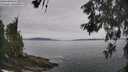 ./images/koeye/fitz-hugh/20260603/fitz-hugh20260603_112002M.jpg