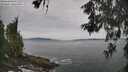 ./images/koeye/fitz-hugh/20260603/fitz-hugh20260603_113001M.jpg