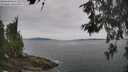 ./images/koeye/fitz-hugh/20260603/fitz-hugh20260603_113502M.jpg