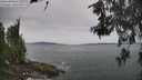 ./images/koeye/fitz-hugh/20260603/fitz-hugh20260603_114001M.jpg
