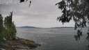 ./images/koeye/fitz-hugh/20260603/fitz-hugh20260603_114501M.jpg