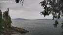 ./images/koeye/fitz-hugh/20260603/fitz-hugh20260603_115001M.jpg