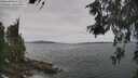 ./images/koeye/fitz-hugh/20260603/fitz-hugh20260603_120001M.jpg