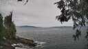 ./images/koeye/fitz-hugh/20260603/fitz-hugh20260603_121001M.jpg