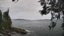 ./images/koeye/fitz-hugh/20260603/fitz-hugh20260603_121501M.jpg