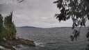 ./images/koeye/fitz-hugh/20260603/fitz-hugh20260603_124001M.jpg