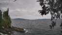./images/koeye/fitz-hugh/20260603/fitz-hugh20260603_124502M.jpg