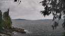 ./images/koeye/fitz-hugh/20260603/fitz-hugh20260603_125501M.jpg